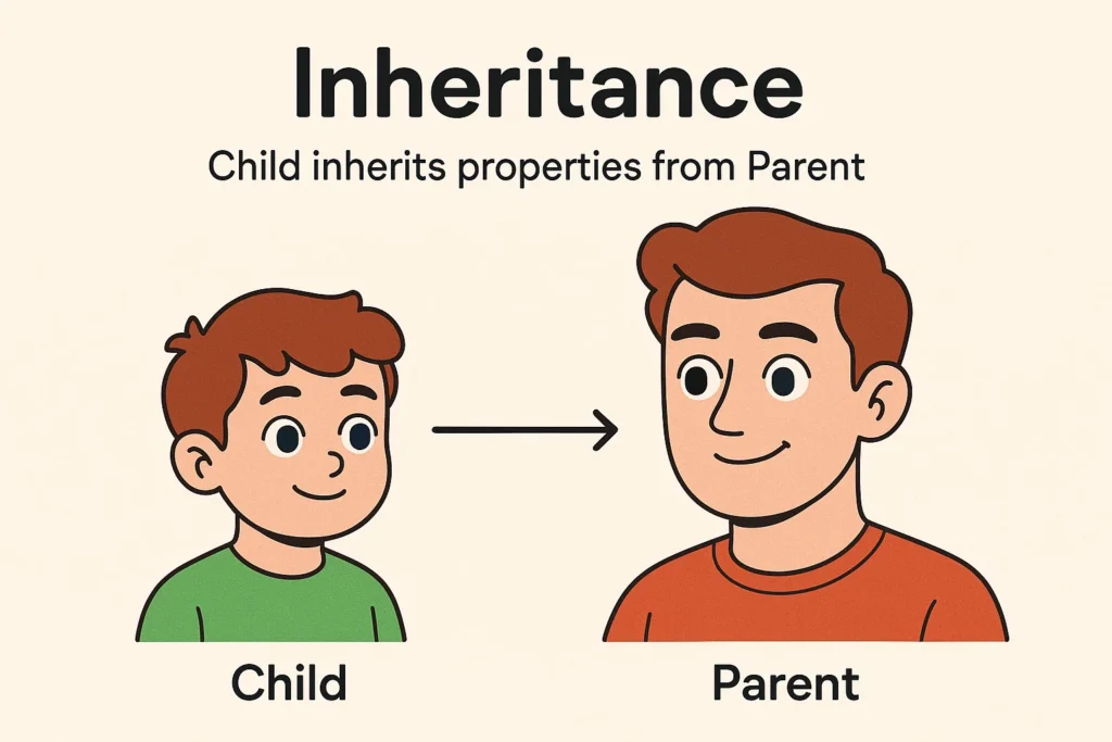 Father and son cartoon showing inherited physical features to explain inheritance in OOPS.